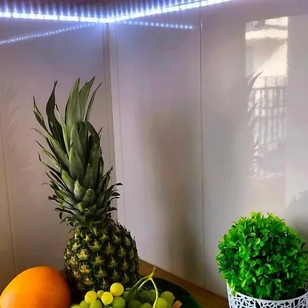 Focus Apartment Lublin